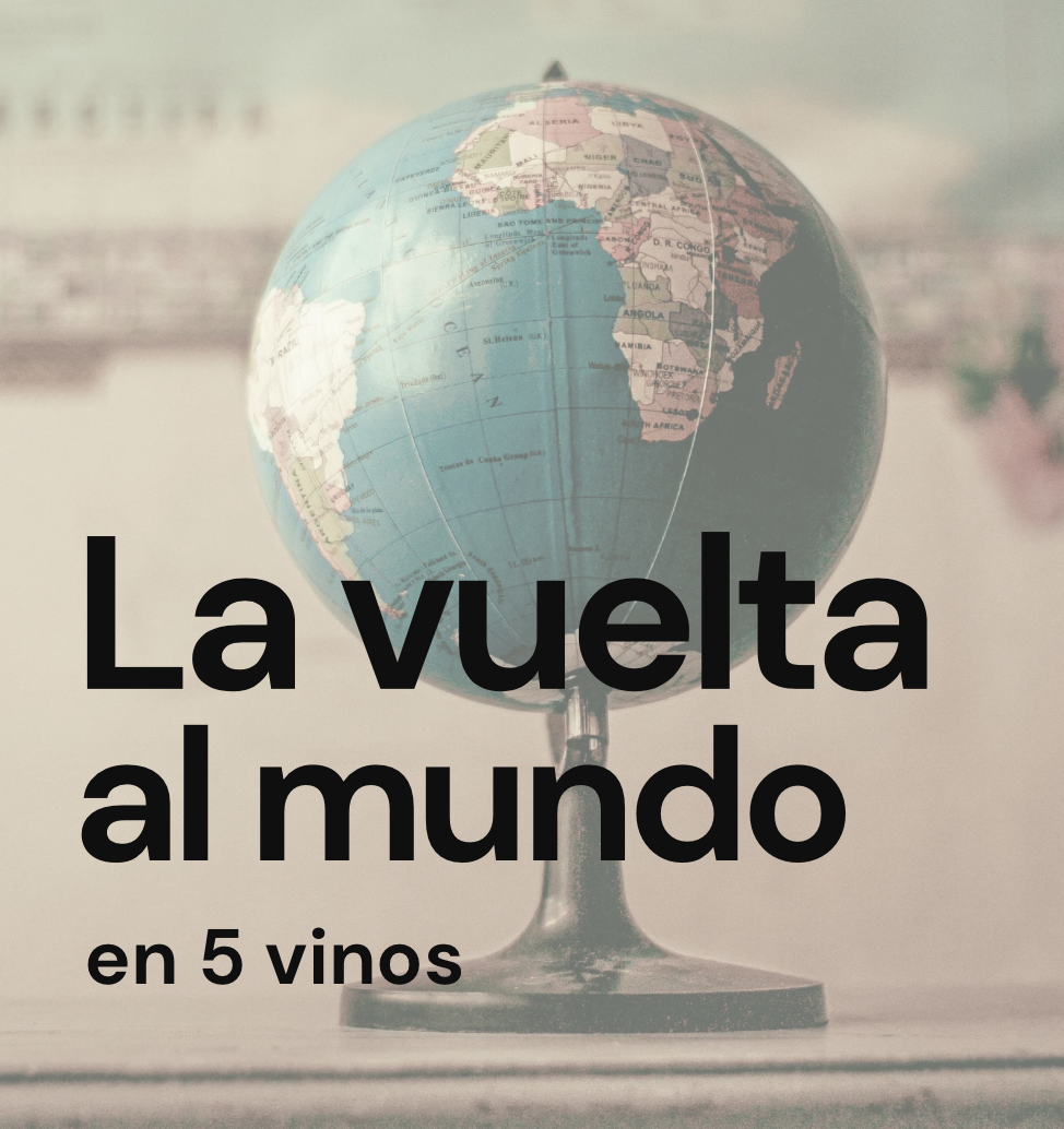 Cata de vinos internacionales