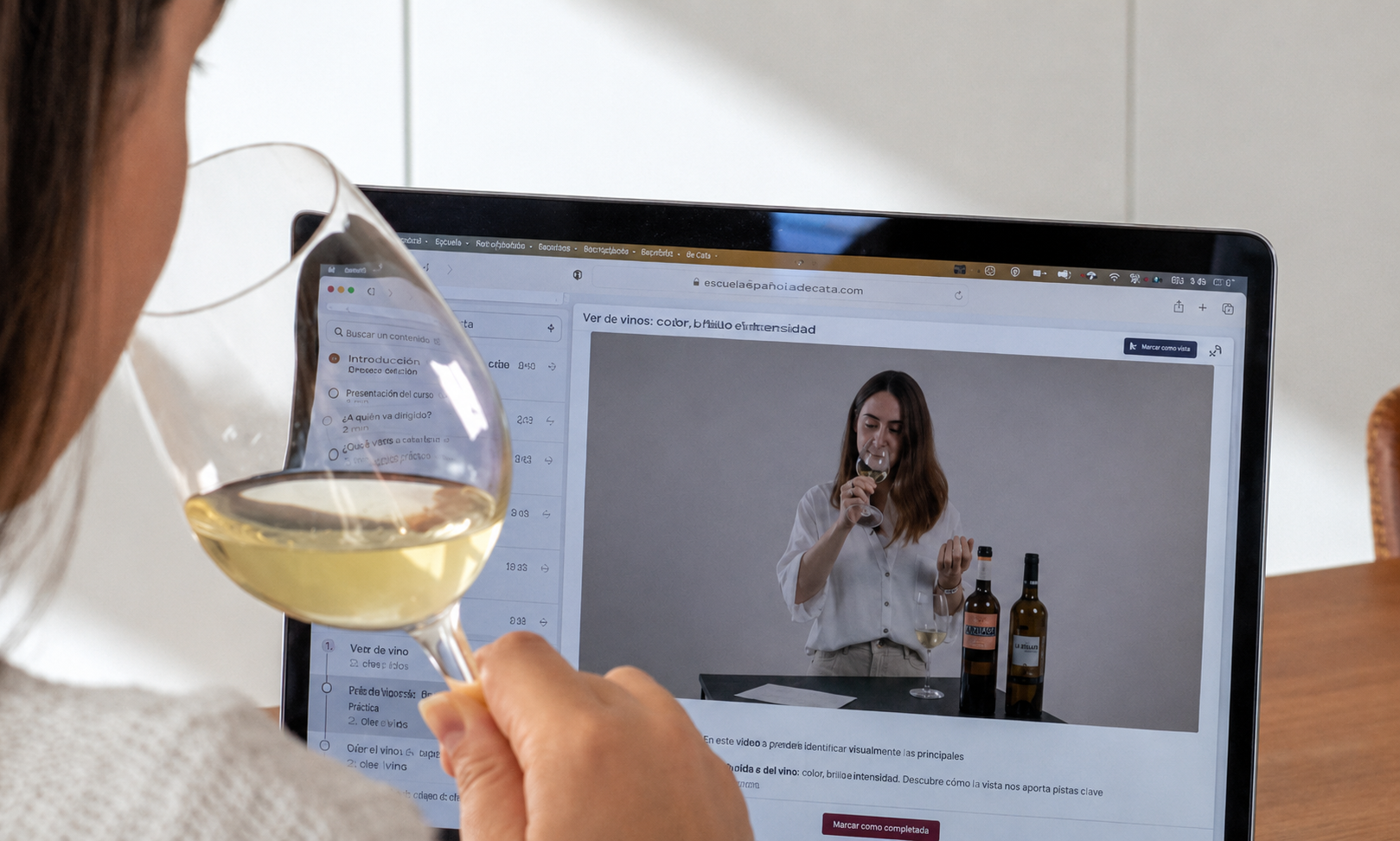 Iniciación sensorial al mundo del vino